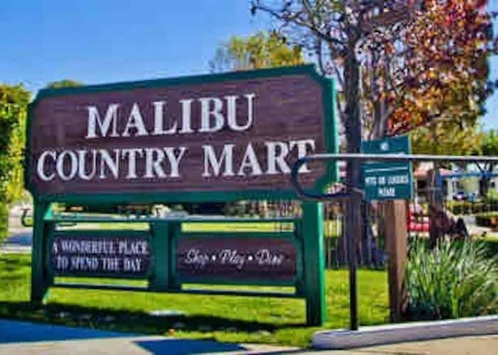 Boho Chic Malibu Retreat Estate Salt Pool Yoga